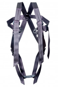 Страховочная система &amp;quot;Альпина&amp;quot;, Ринг