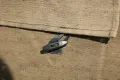 Армейская палатка УСТ-56