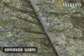 Cпальный мешок Forester -26, принт цифра, Talberg